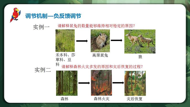 【名师特供】3.5《生态系统的稳定性》 课件+练习(原卷+解析卷)08