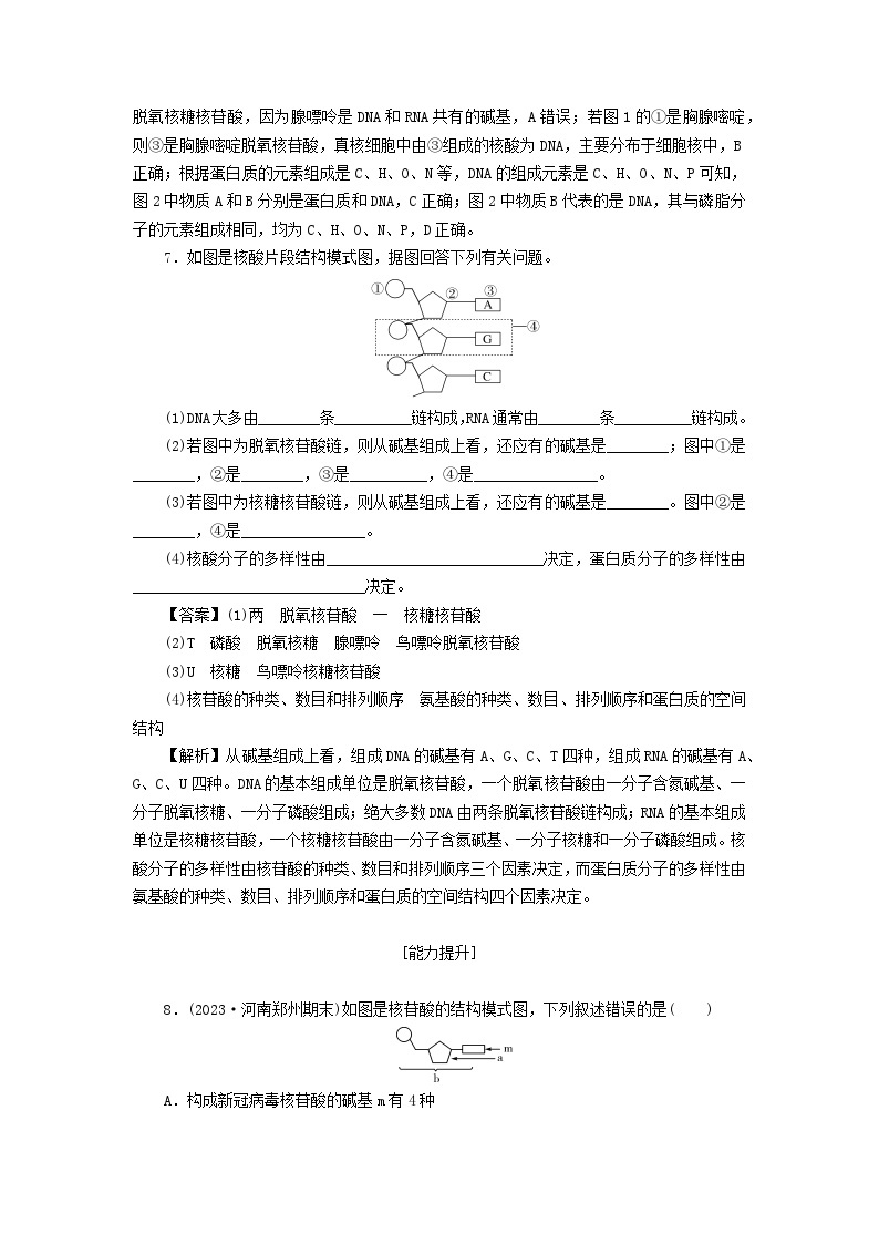 新教材2024版高中生物第2章组成细胞的分子第5节核酸是遗传信息的携带者课后提能集训试题新人教版必修103