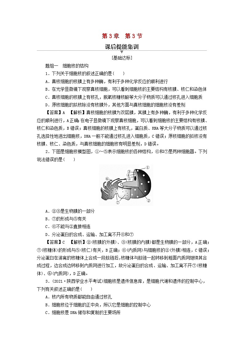 新教材2024版高中生物第3章细胞的基本结构第3节细胞核的结构和功能课后提能集训试题新人教版必修101