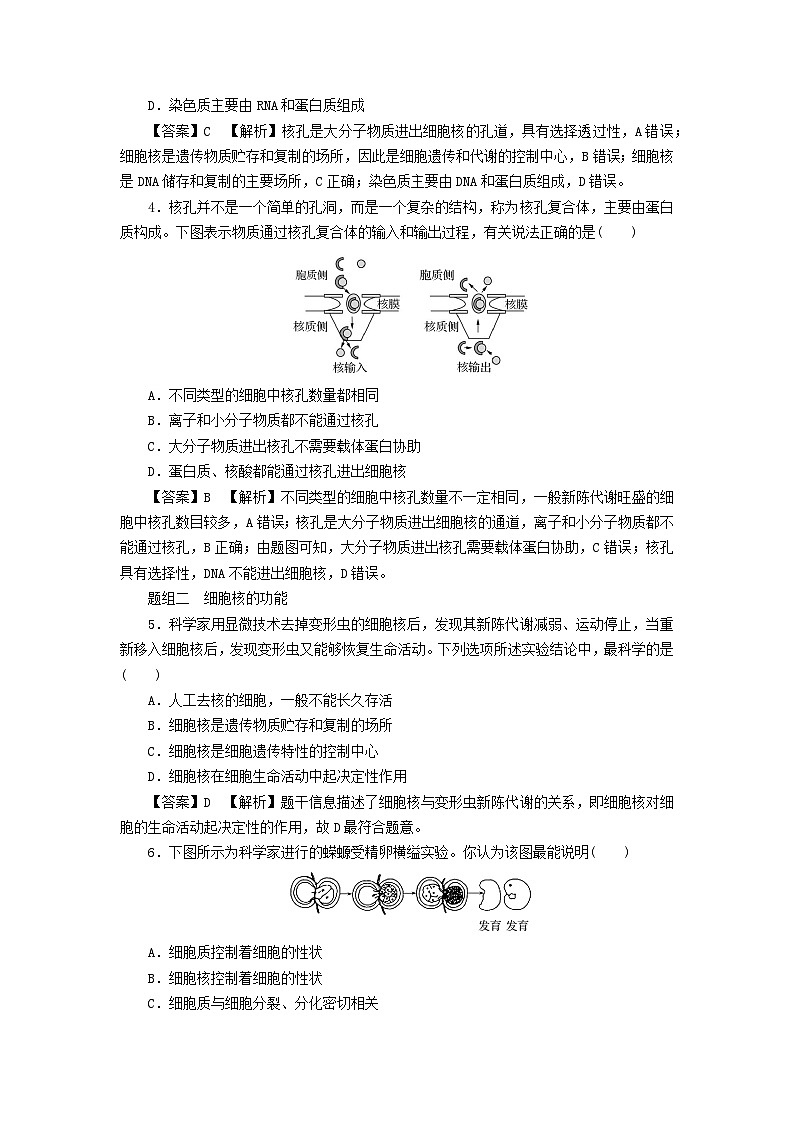 新教材2024版高中生物第3章细胞的基本结构第3节细胞核的结构和功能课后提能集训试题新人教版必修102