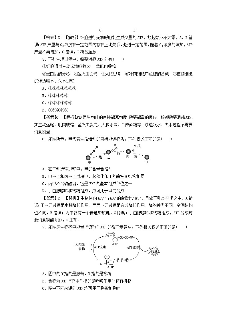 新教材2024版高中生物第5章细胞的能量供应和利用第2节细胞的能量“货币”ATP课后提能集训试题新人教版必修102