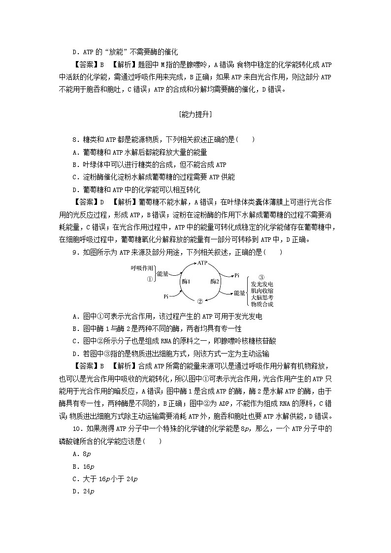 新教材2024版高中生物第5章细胞的能量供应和利用第2节细胞的能量“货币”ATP课后提能集训试题新人教版必修103