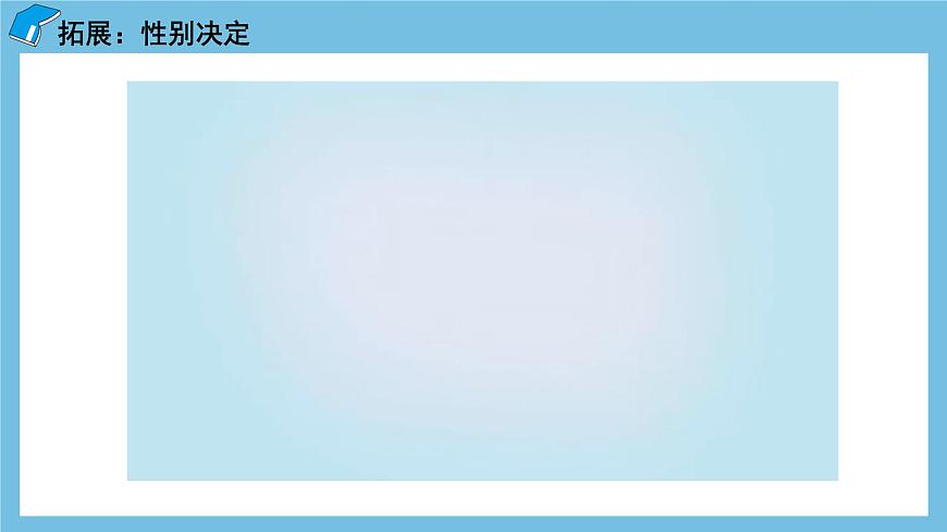 2.3《伴性遺傳（第1課時(shí)）》課件 人教版高中生物必修二第8頁(yè)