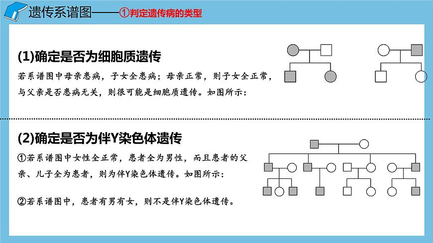2.3《伴性遺傳（第2課時(shí)）》課件 人教版高中生物必修二第3頁(yè)