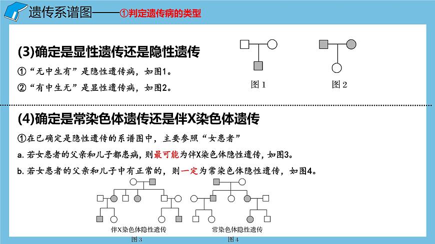 2.3《伴性遺傳（第2課時(shí)）》課件 人教版高中生物必修二第4頁(yè)