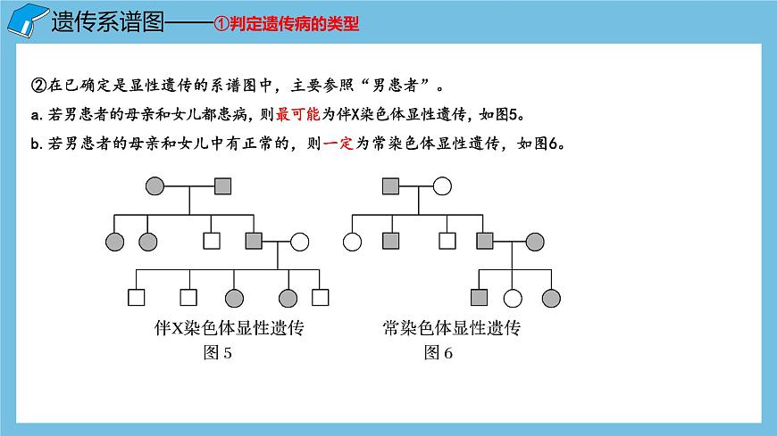 2.3《伴性遺傳（第2課時(shí)）》課件 人教版高中生物必修二第5頁(yè)