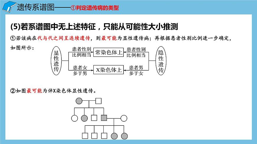 2.3《伴性遺傳（第2課時(shí)）》課件 人教版高中生物必修二第6頁(yè)