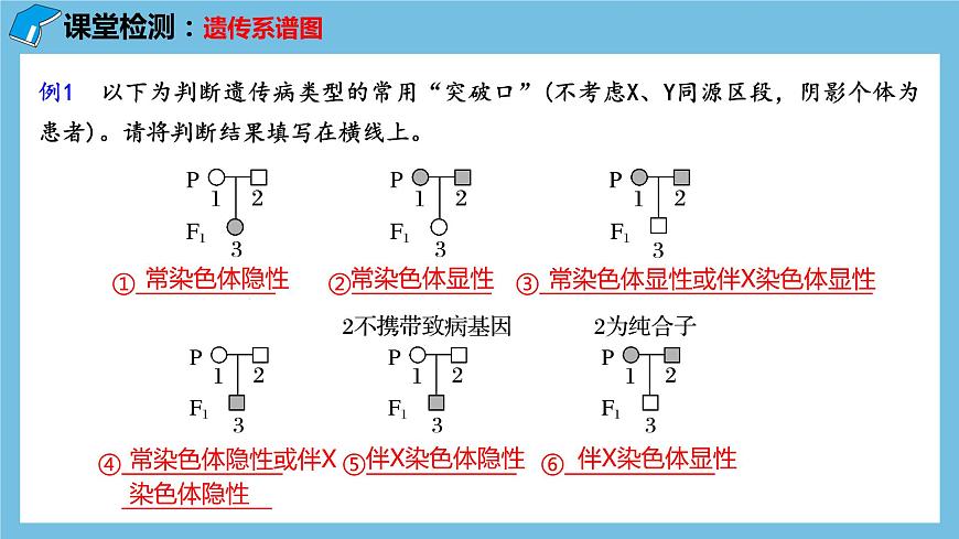 2.3《伴性遺傳（第2課時(shí)）》課件 人教版高中生物必修二第8頁(yè)
