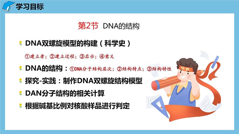 3.2《DNA的结构》课件 人教版高中生物必修二第2页