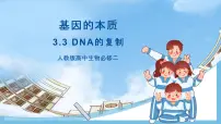 高中第3节 DNA的复制完整版ppt课件