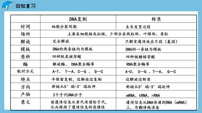 4.1《基因指导蛋白质的合成（第2课时）》课件 人教版高中生物必修二02