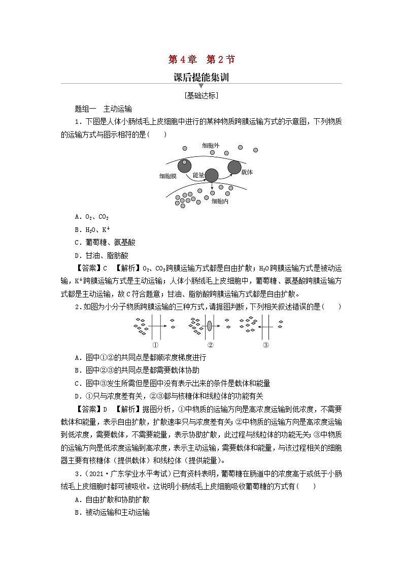 新教材2024版高中生物第4章细胞的物质输入和输出第2节主动运输与胞吞胞吐课后提能集训试题新人教版必修1第1页