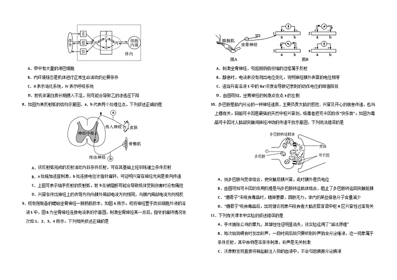 广东省梅州市梅县东山中学2023-2024学年高二上学期期中检测生物试卷第2页