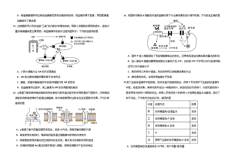 广东省梅州市梅县东山中学2023-2024学年高二上学期期中检测生物试卷第3页