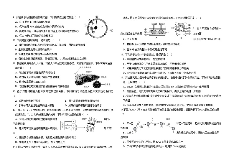 广东省梅州市梅县东山中学2023-2024学年高一上学期12月月考生物试题第2页