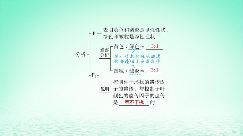 江苏专版2023_2024学年新教材高中生物第1章遗传因子的发现第2节孟德尔的豌豆杂交实验二第1课时孟德尔两对相对性状的杂交实验过程解释及验证课件新人教版必修2第6页