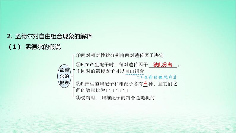 江苏专版2023_2024学年新教材高中生物第1章遗传因子的发现第2节孟德尔的豌豆杂交实验二第1课时孟德尔两对相对性状的杂交实验过程解释及验证课件新人教版必修2第7页