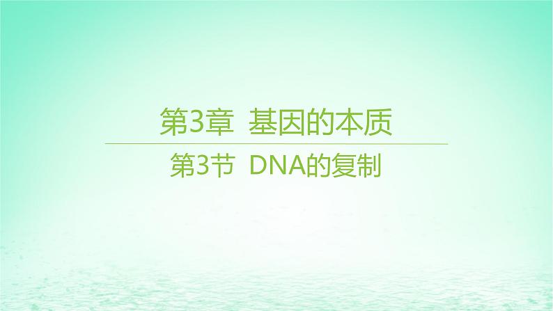 江苏专版2023_2024学年新教材高中生物第3章基因的本质第3节DNA的复制课件新人教版必修2第1页