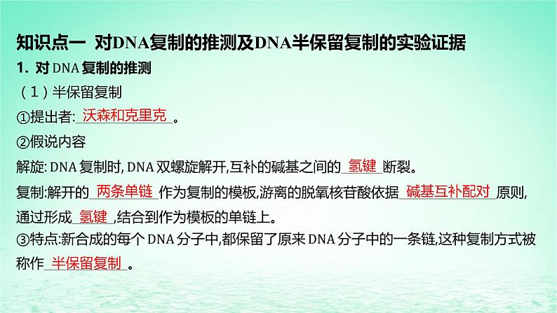 江苏专版2023_2024学年新教材高中生物第3章基因的本质第3节DNA的复制课件新人教版必修2第5页