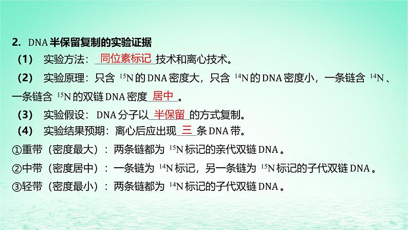 江苏专版2023_2024学年新教材高中生物第3章基因的本质第3节DNA的复制课件新人教版必修2第7页