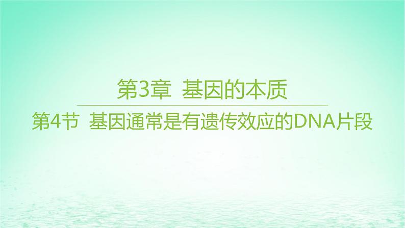江苏专版2023_2024学年新教材高中生物第3章基因的本质第4节基因通常是有遗传效应的DNA片段课件新人教版必修2第1页