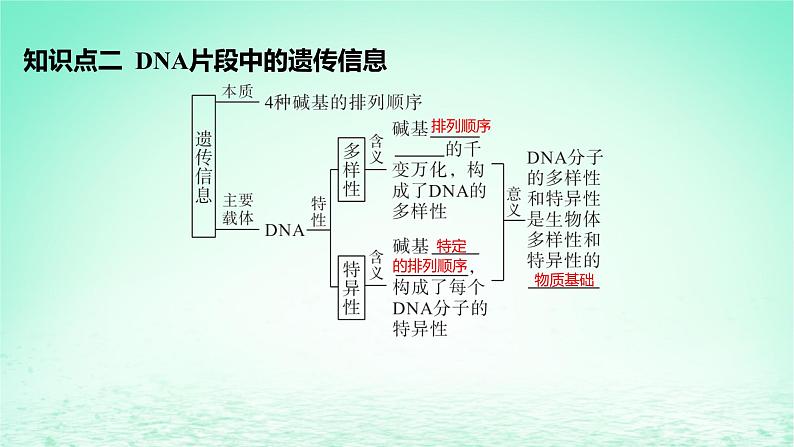 江苏专版2023_2024学年新教材高中生物第3章基因的本质第4节基因通常是有遗传效应的DNA片段课件新人教版必修2第6页