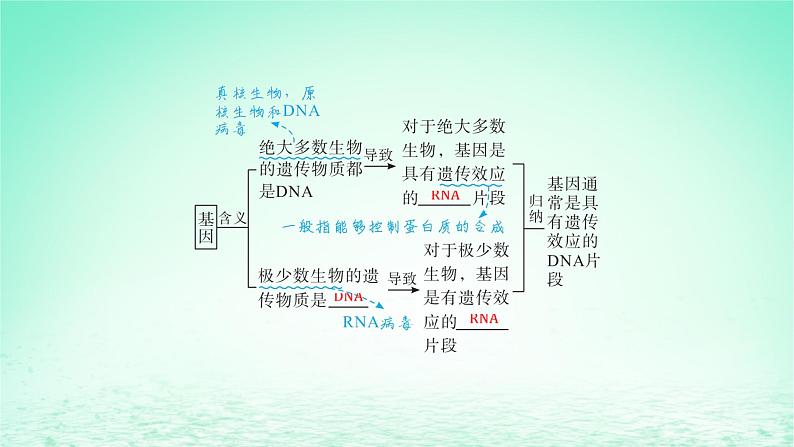江苏专版2023_2024学年新教材高中生物第3章基因的本质第4节基因通常是有遗传效应的DNA片段课件新人教版必修2第7页
