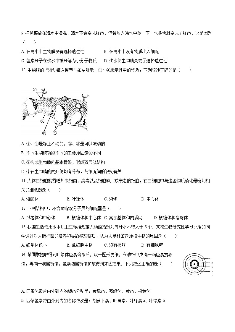 2022-2023學(xué)年新疆烏魯木齊三十六中高一（上）期末生物試卷（含解析）第2頁