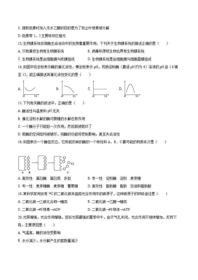 2022-2023學(xué)年新疆烏魯木齊三十六中高一（上）期末生物試卷（含解析）第3頁