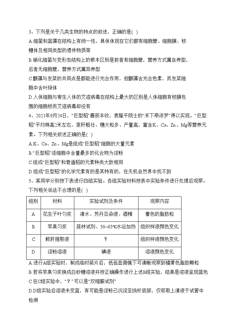 北镇市高级中学2023-2024学年高一上学期期中考试前选择卷训练1生物试卷(含答案)第2页