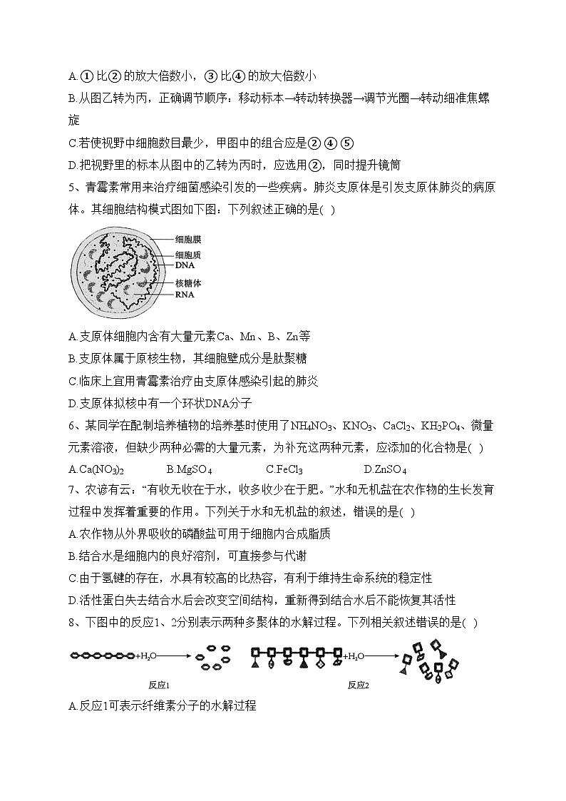 湖南省长沙市第一中学2023-2024学年高一上学期第一次阶段性检测(月考)生物试卷(含答案)第2页