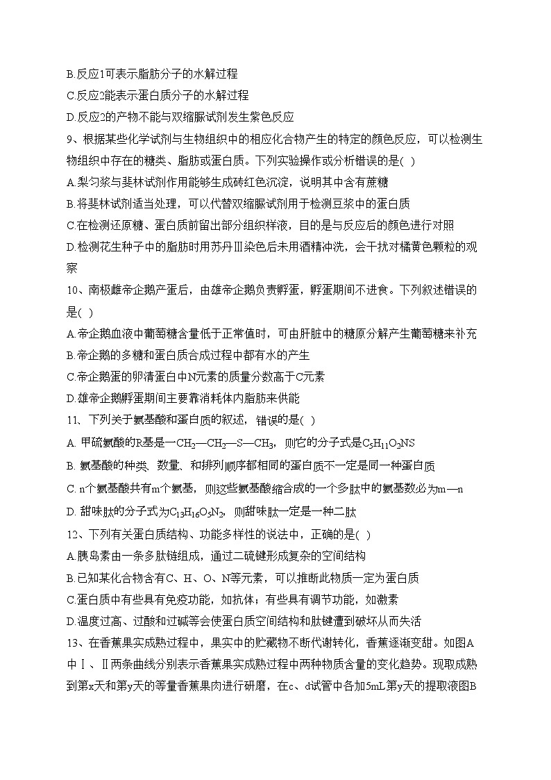 湖南省长沙市第一中学2023-2024学年高一上学期第一次阶段性检测(月考)生物试卷(含答案)第3页
