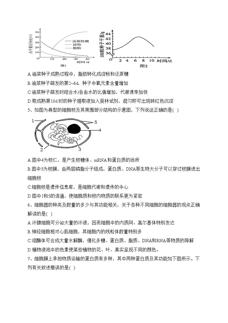 双鸭山市第一中学2023-2024学年高一上学期12月月考生物试卷(含答案)第2页