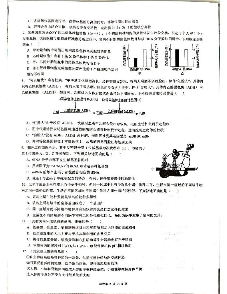云南省蒙自市第一高级中学2023-2024学年高二上学期12月月考生物试题02