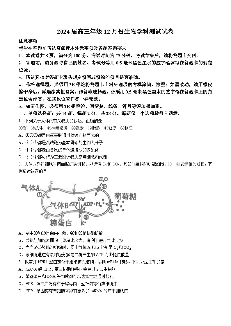 2024江苏省海安高级中学高三上学期12月月考试题生物含答案第1页