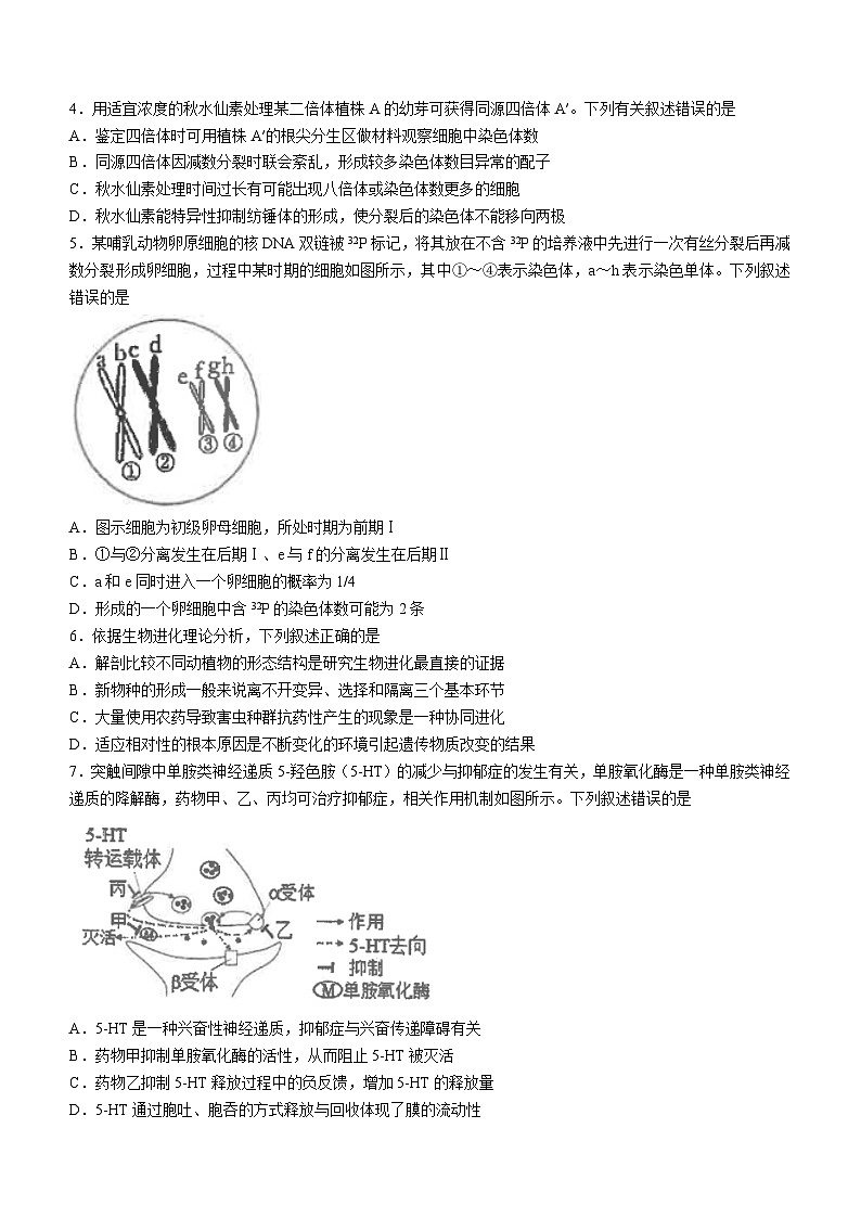 2024江苏省海安高级中学高三上学期12月月考试题生物含答案第2页