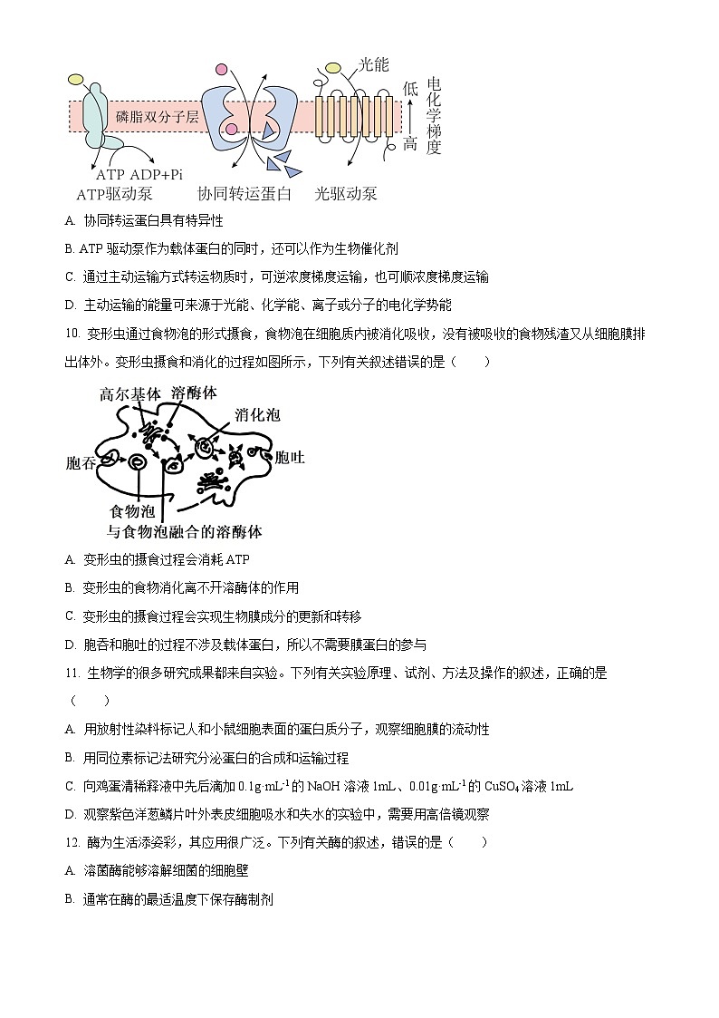 2024山西省高一上学期12月联合考试生物含解析第3页