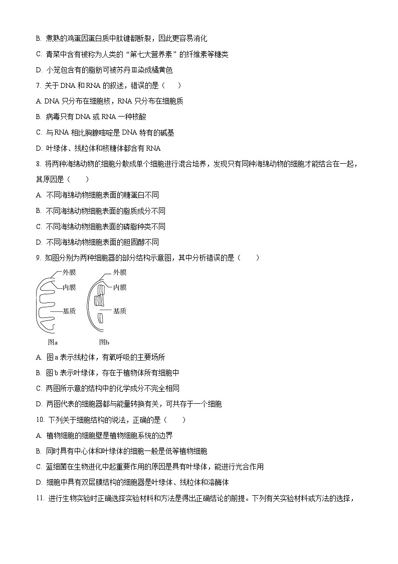 四川省南充市阆中中学2023-2024学年高一上学期12月月考生物试题(原卷版)第2页