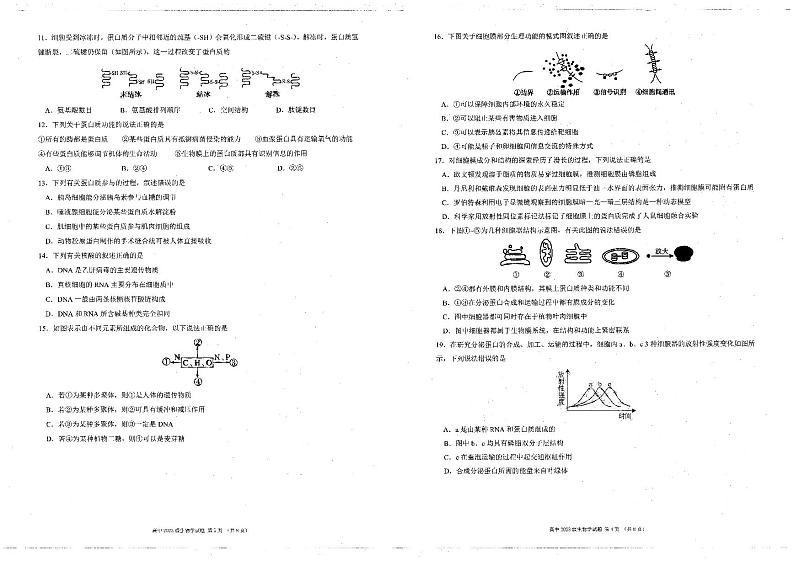2024凉山彝族自治州安宁河联盟高一上学期期末联考试题生物PDF版含解析02