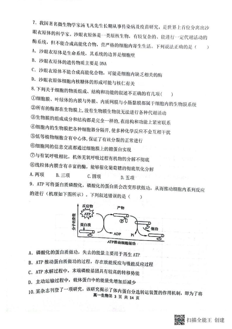 2024大同一中高一上学期12月月考试题生物PDF版含答案03