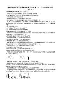 四川省成都市郫都区绵实外国语学校2023-2024学年高二上学期12月检测生物试题（Word版附解析）
