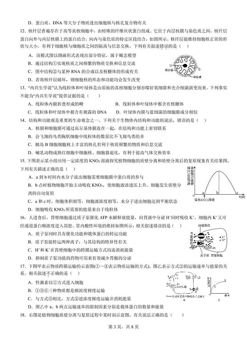 2024河南省顶级名校高一上学期12月月考试题生物PDF版含解析第3页