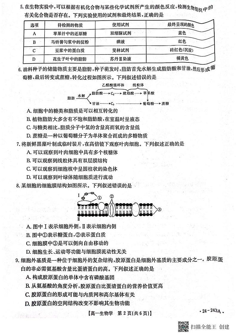 2024六盘水水城区高一上学期12月月考试题生物PDF版含答案02