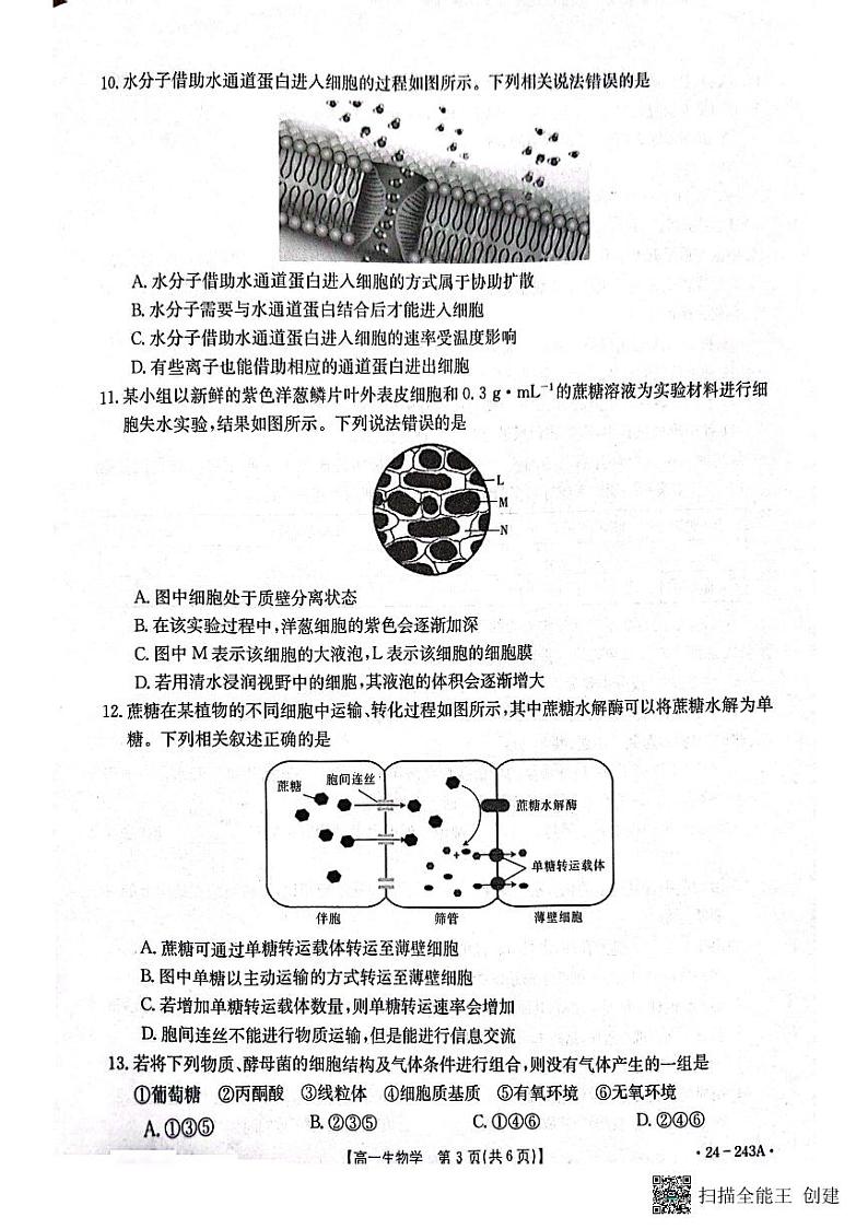 2024六盘水水城区高一上学期12月月考试题生物PDF版含答案03
