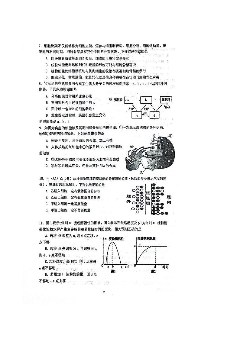 2024江苏省苏南八校高一上学期12月联考试题生物PDF版含答案第2页