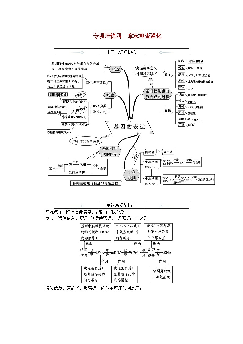 2024版新教材高中生物第4章基因的表达章末排查强化学生用书学案新人教版必修2第1页