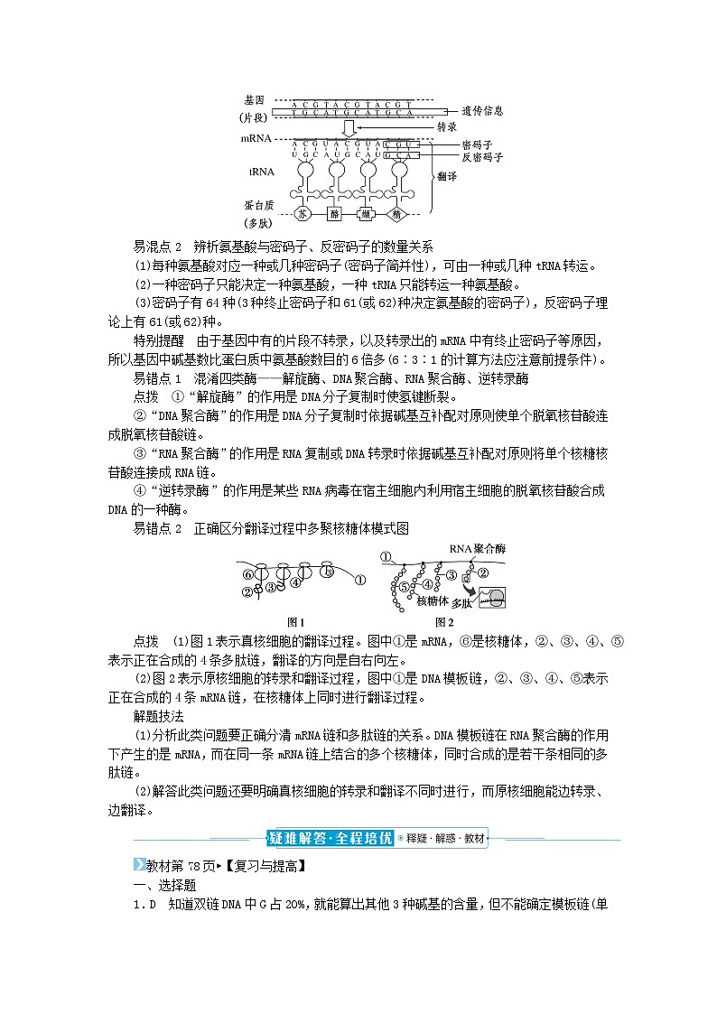 2024版新教材高中生物第4章基因的表达章末排查强化学生用书学案新人教版必修2第2页