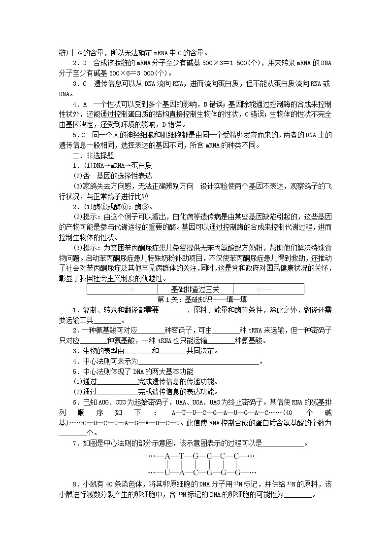 2024版新教材高中生物第4章基因的表达章末排查强化学生用书学案新人教版必修2第3页