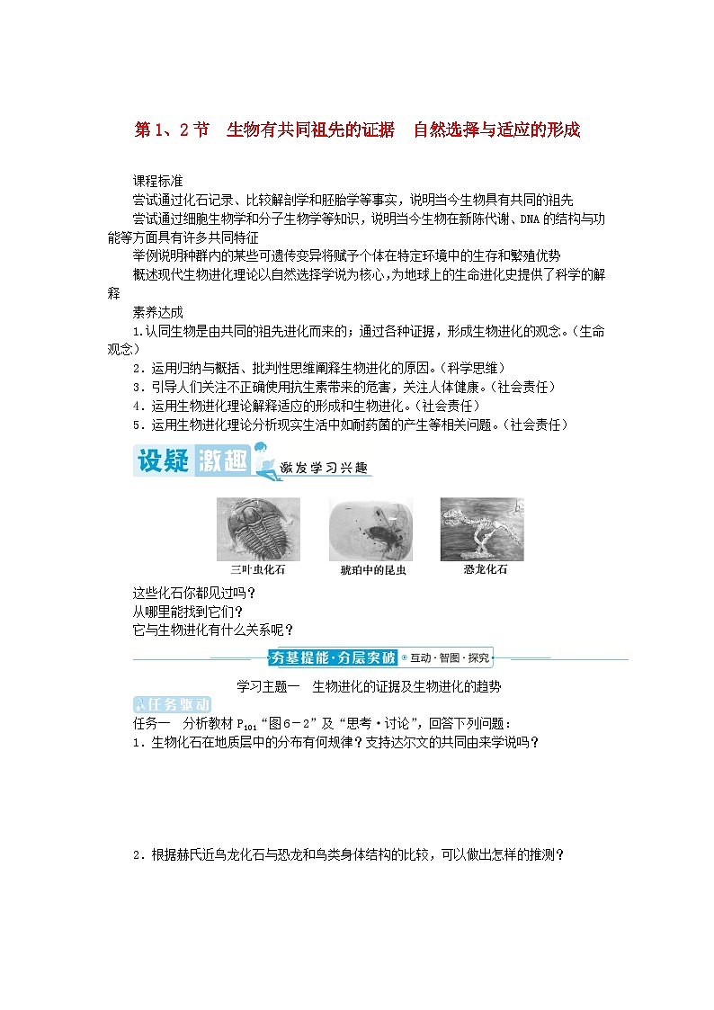 2024版新教材高中生物第6章生物的进化第1节生物有共同祖先的证据第2节自然选择与适应的形成学生用书学案新人教版必修201