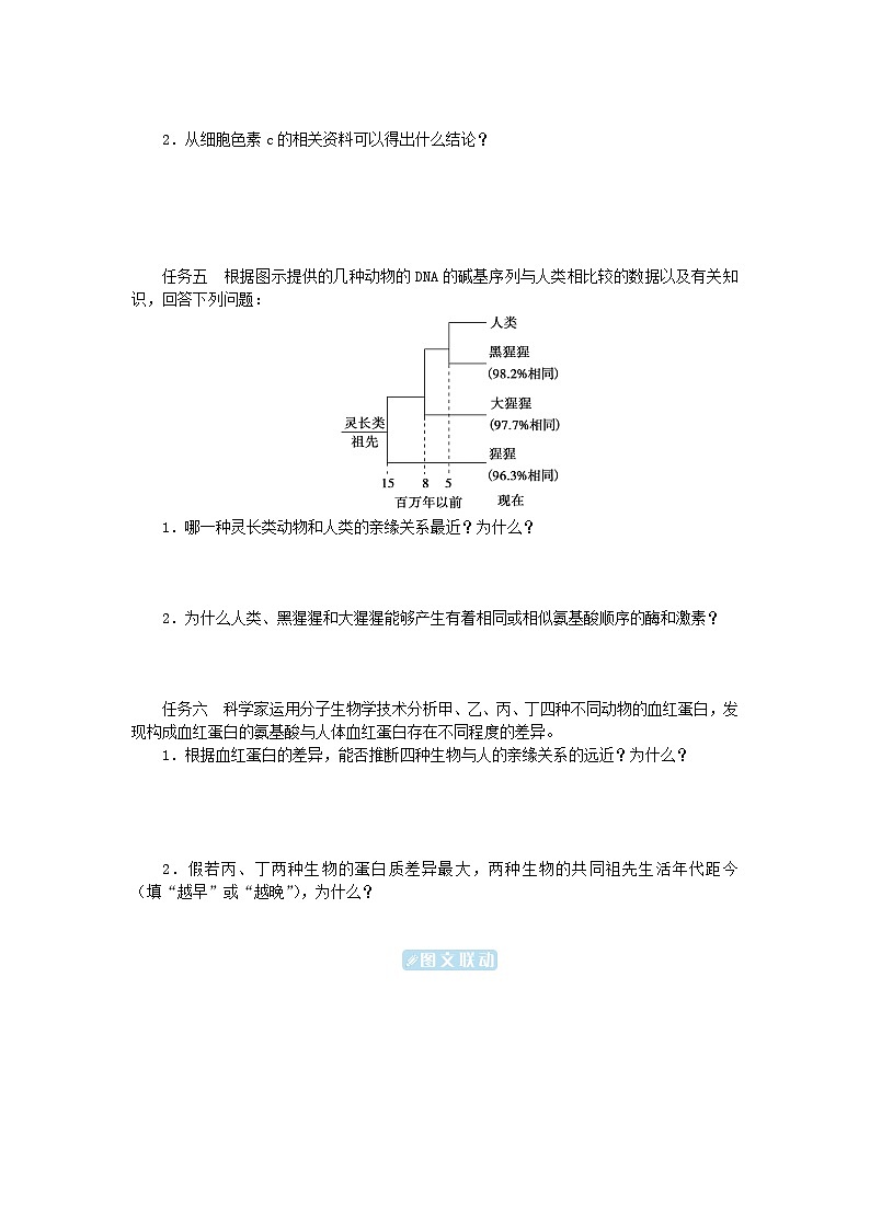 2024版新教材高中生物第6章生物的进化第1节生物有共同祖先的证据第2节自然选择与适应的形成学生用书学案新人教版必修203